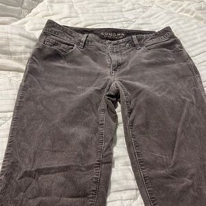 Women’s pants